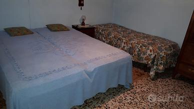 Alloggio arredato