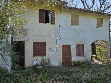 Terreno edificabile fonte d'acqua e ulivi