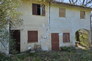 Terreno edificabile fonte d'acqua e ulivi