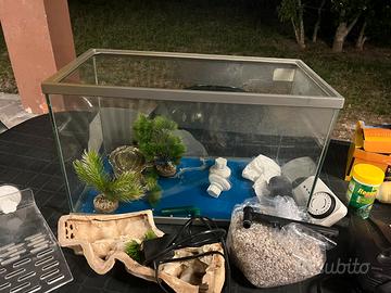 Acquario