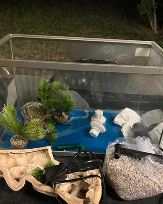 Acquario