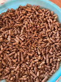 Pellettatrice Smartwood