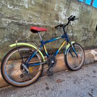 Mountain bike da bambini