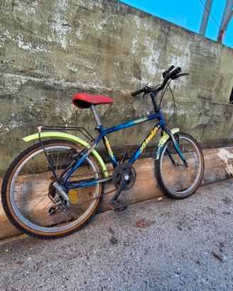 Mountain bike da bambini