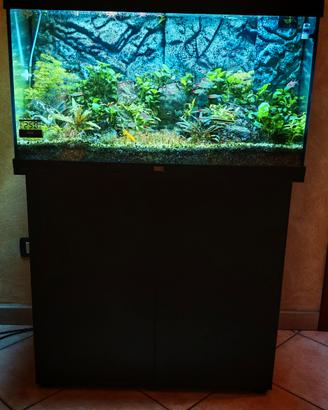Acquario Juwel RIO 125 led
