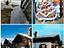Immagine 9