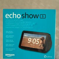 Alexa Echo Snow 5