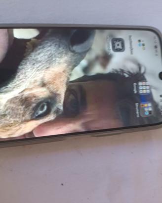 Smartphone realme C100 5G