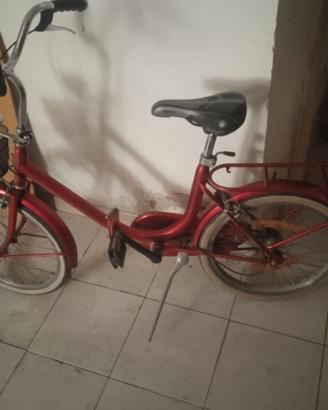 Bicicletta pieghevole