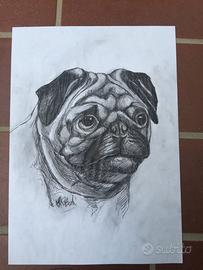 DISEGNO CANE RAZZA CARLINO A BIRO NERA SU CARTA