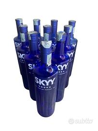 Lotto 10 bottiglie skyy vodka