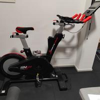 Speed bike Sx600