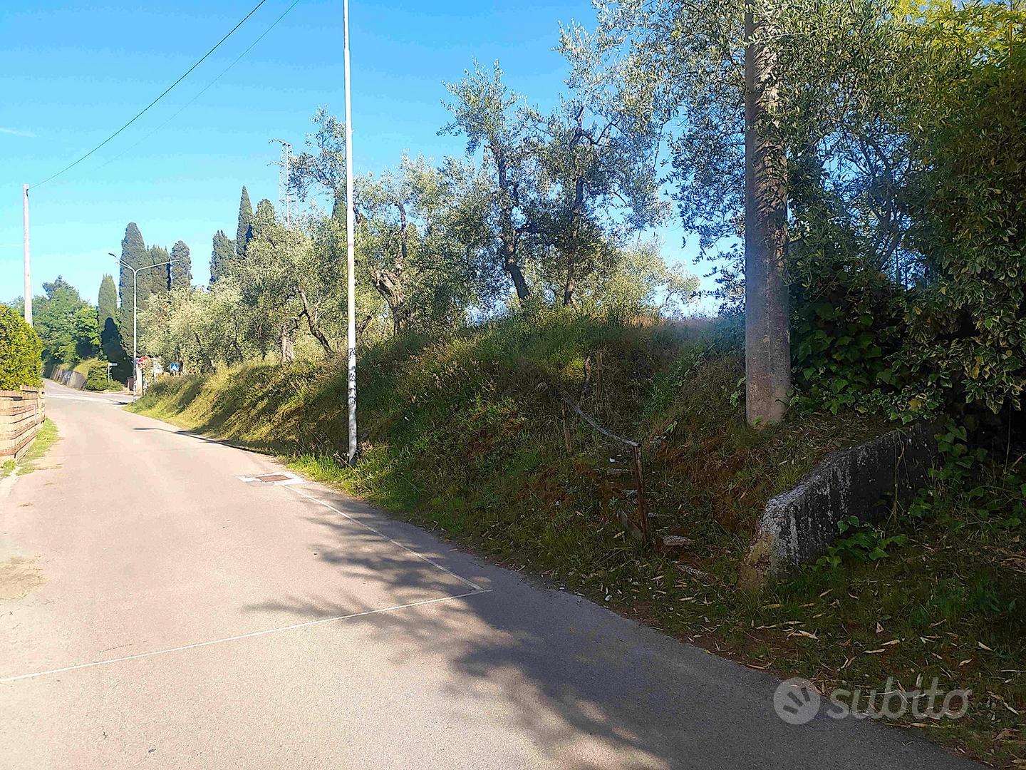 TERRENO EDIFICABILE mq.900 -con OLIVETA a PALAIA - Altro