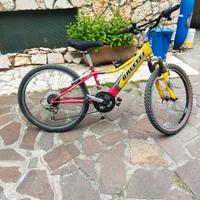 bici da ragazzo ruota 24 ammortizzata