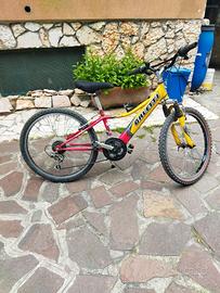 bici da ragazzo ruota 24 ammortizzata