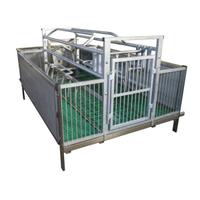 Gabbia parto scrofe con box suinetti