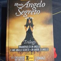 Libro Il mio angelo segreto 