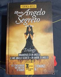 Libro Il mio angelo segreto 