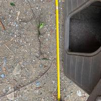 Cuccia per cani