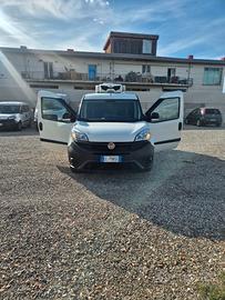 Fiat doblo' maxi frigo ZANOTTI
