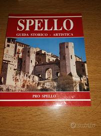 Guida turistica 