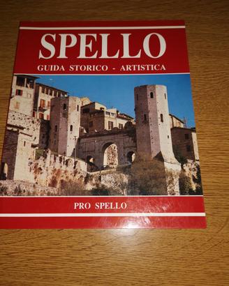 Guida turistica 