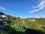 Immagine 11
