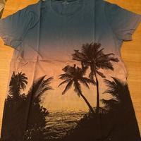 Tshirt Hollister