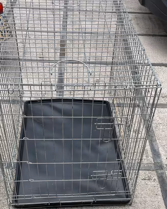 Kennel
