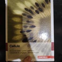 Cellule. Biologia