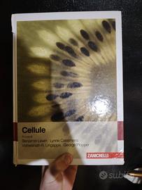 Cellule. Biologia