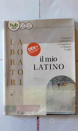 Libro di grammatica latina