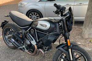 ducati scrambler 800