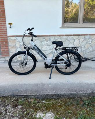 Ebike
