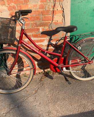Bicicletta donna