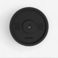 2x dischi body building 10 kg