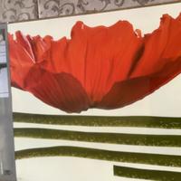 Wall sticker IKEA grandi