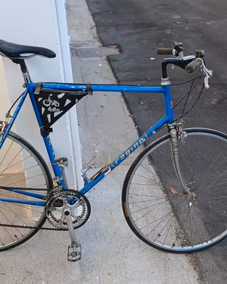 bicicletta da corsa regina 