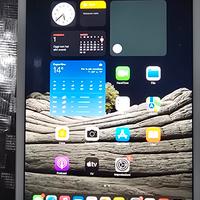 iPad Mini 4 128GB Wifi - CONDIZIONI A+++⭐️