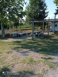 Terreno agricolo via malguaia 13 forli'