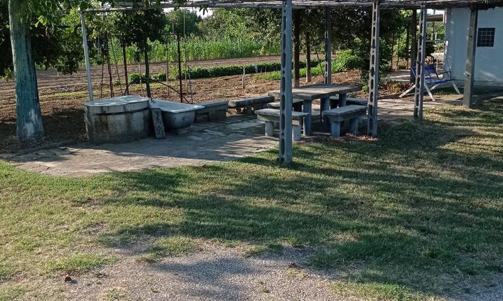 Terreno agricolo via malguaia 13 forli'