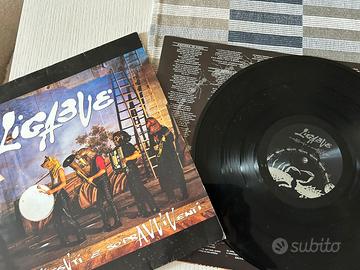 Sopravvissuti e sopravviventi in vinile  Ligabue