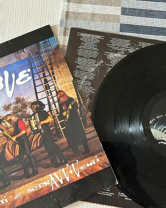 Sopravvissuti e sopravviventi in vinile  Ligabue