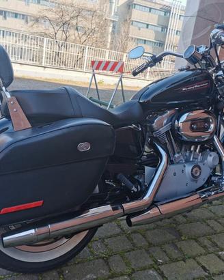 Harley Davidson Sportster Custom 883