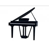 Pianoforte "codino" ECHORD GP10 Black