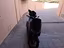 Immagine 5