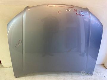 Cofano AUDI A8 II (4E2, 4E8) [ 2002 - 2010 ]