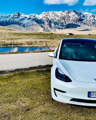 Tesla model 3 standard agosto 2023