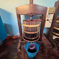 attrezzatura per palmento  da uva a  mosto