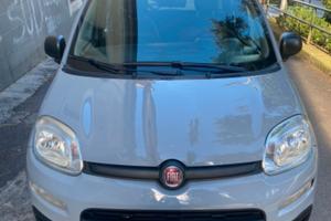 panda anno 2022 ibrida